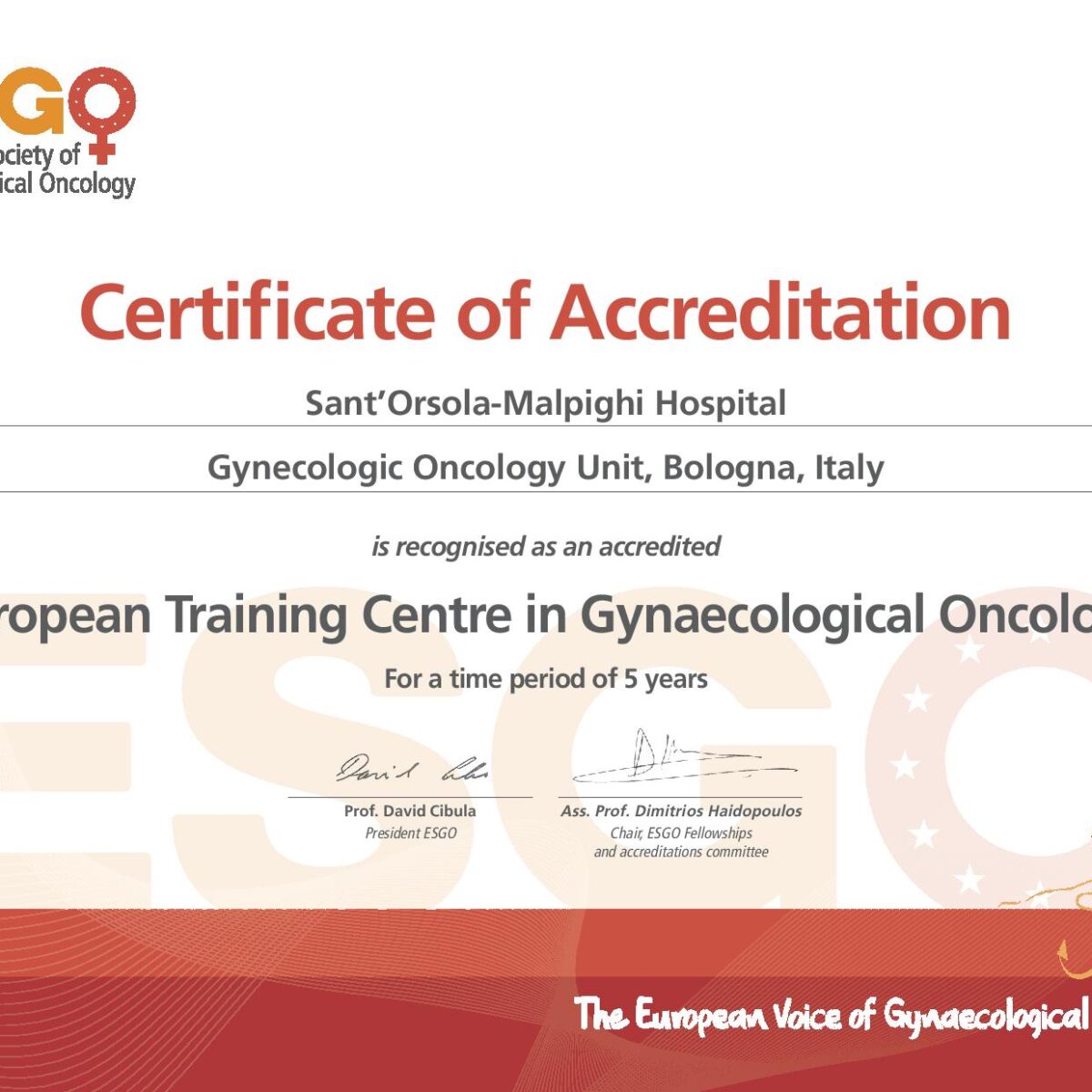 ESGO Bologna Certificate gyn onc-page-001
