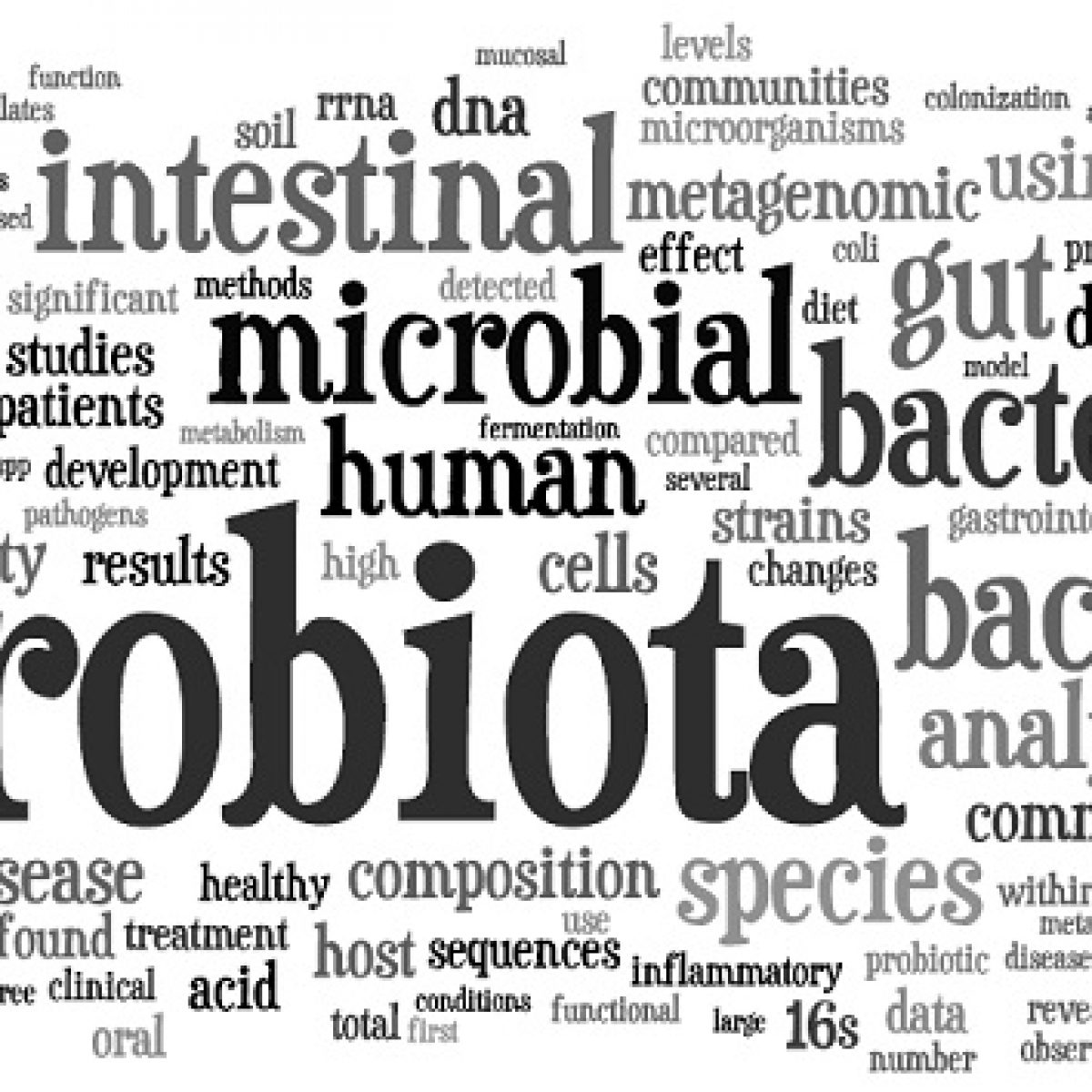 A decades of metagenomics approach based studies wordle A decades of metagenomics approach based studies wordle